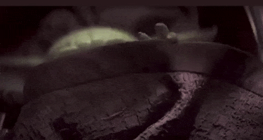 yoda baby yoda mandalorian babyyoda GIF