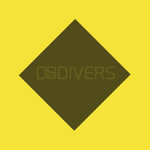 DSDIVERS giphygifmaker dsdivers viajebuceo ultimafrontera GIF