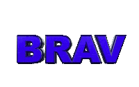 logo brav Sticker by Bravworld