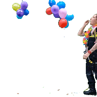 Carnaval Jack Sticker by Politie Basisteam Dongemond