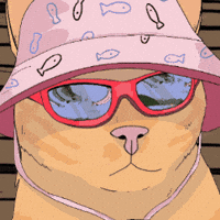 christinapencil orange cat ginger cat red cat christina cat GIF