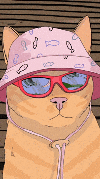 christinapencil orange cat ginger cat red cat christina pencil GIF