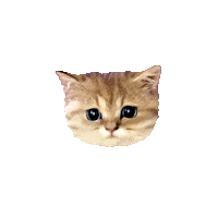 Cat Lipstick Sticker by paulandjoe_beaute