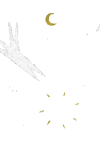 Shining Star Night Sticker