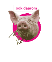 Vegan Veggie Sticker by Wakker Dier