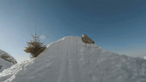 ski freeride GIF by BFMTV
