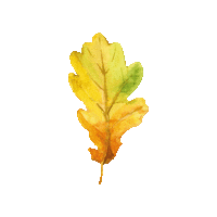 wineandsomething wine autumn tree leaf Sticker
