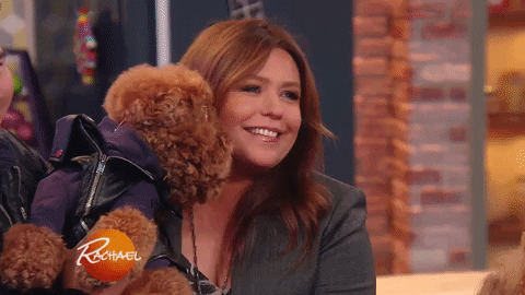 dog dress up GIF by Rachael Ray Show