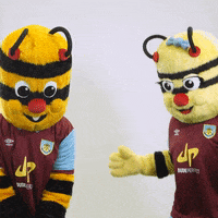 Premier League Party GIF by Burnley Football Club