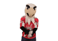 Celebrate Ice Hockey Sticker by NHL