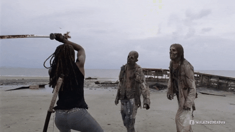wlion giphyupload GIF