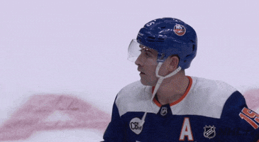 nhl sports hockey nhl ice hockey GIF