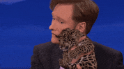 GIF by Team Coco