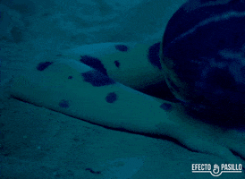 happy efecto pasillo GIF