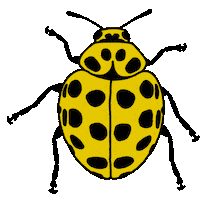 Creepy Crawlies Bug Sticker