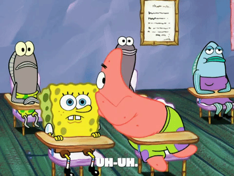 season 6 GIF by SpongeBob SquarePants