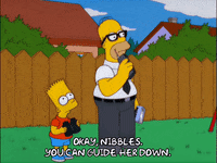 homer simpson episode 6 GIF