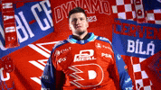 Tomas GIF by HC Dynamo Pardubice