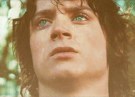 the lord of the rings rebecca GIF