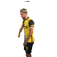 Come On Yes Sticker by BSC Young Boys