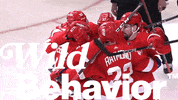 WildBehavior red wings detroit red wings GIF