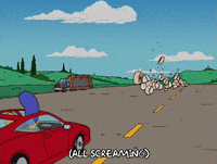 homer simpson GIF