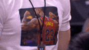 lebron james basketball GIF by NBA