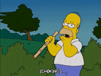 homer simpson GIF