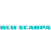 Design Tennis Sticker by Blu Scarpa