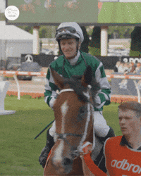 Hypes Yes GIF by World Horse Racing