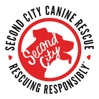 sccrmarketing rescue dog rescue second city sccr Sticker