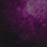 Crypto Feeling GIF by Bump-fm