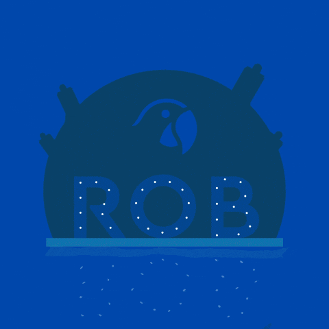 Travel Rob GIF by ROBINSON – Share the moment