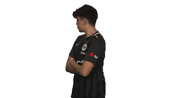 Eintracht Frankfurt Fifa Sticker by Bundesliga