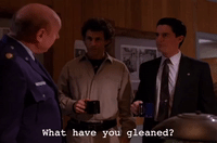 season 2 episode 20 GIF by Twin Peaks on Showtime