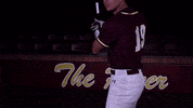 PRCCAthletics wildcats mississippi juco prcc GIF