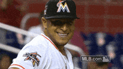 Miami Marlins Aj GIF by MLB