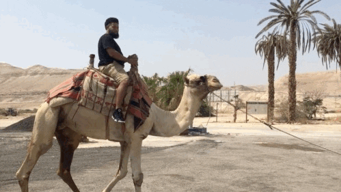 Lets Go GIF by Jason Earls