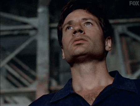 x files GIF by The X-Files