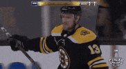 Happy Ice Hockey GIF by NHL