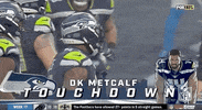 Seattle Seahawks Football GIF by NFL