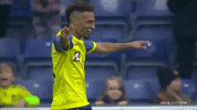 broendby GIF by Brøndby IF