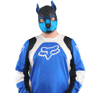 Blue Fox Love Sticker