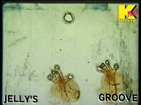 Radio Wizard GIF by KPISS.FM