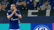 Football Soccer GIF by FC Schalke 04