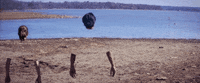 mom + pop music GIF by Mutual Benefit