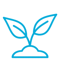 Plants Sticker by CSIRO