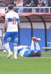 Cruzados GIF