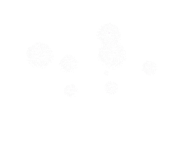 total divas superstar Sticker by E!