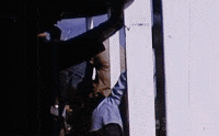 African American Hello GIF by Texas Archive of the Moving Image